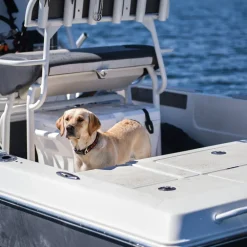 Shop Grundens Dog Collar Gear & Accessories
